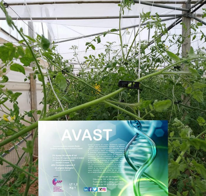 AVAST - l' "AntiVirus"