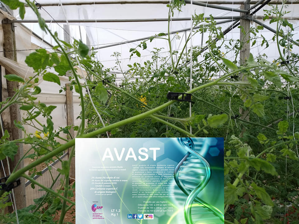 AVAST - l' "AntiVirus"